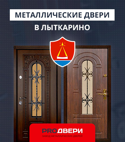 Металические двери в Лыткарино