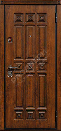 Фотография «Бронированная №2»